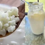 Kefir de Leite Caseiro que Cuida da Barriga em 24 Horas!