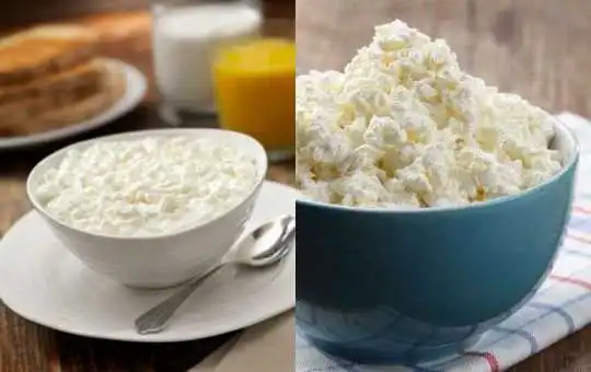 Queijo Cottage Caseiro: A Proteína Mais Barata e Saudável para Emagrecer