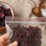 O Segredo da “Planta Bariátrica” que Tira a Fome e Seca 6kg